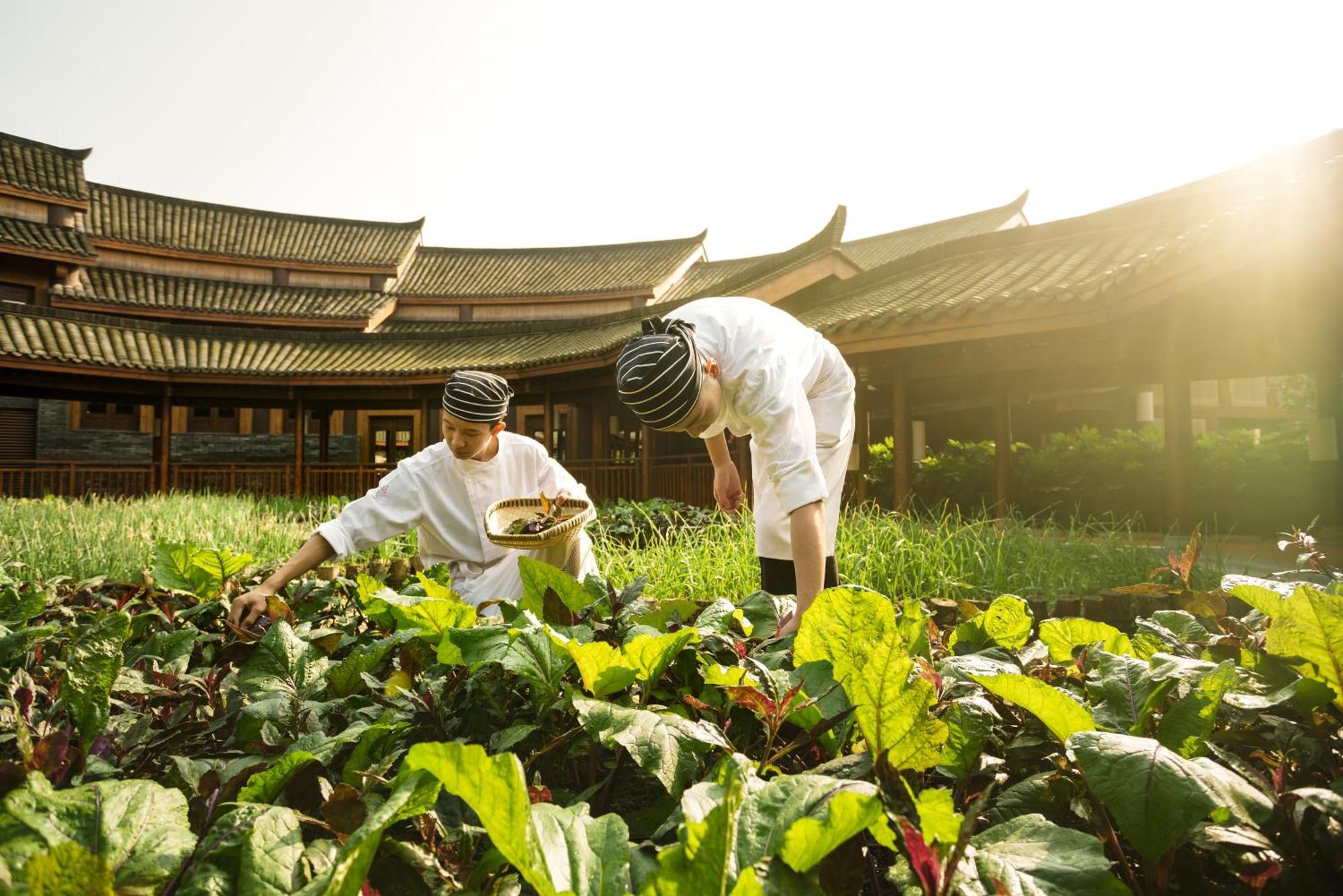 Six Senses Qing Cheng Mountain Hotel Chengdu Exterior foto